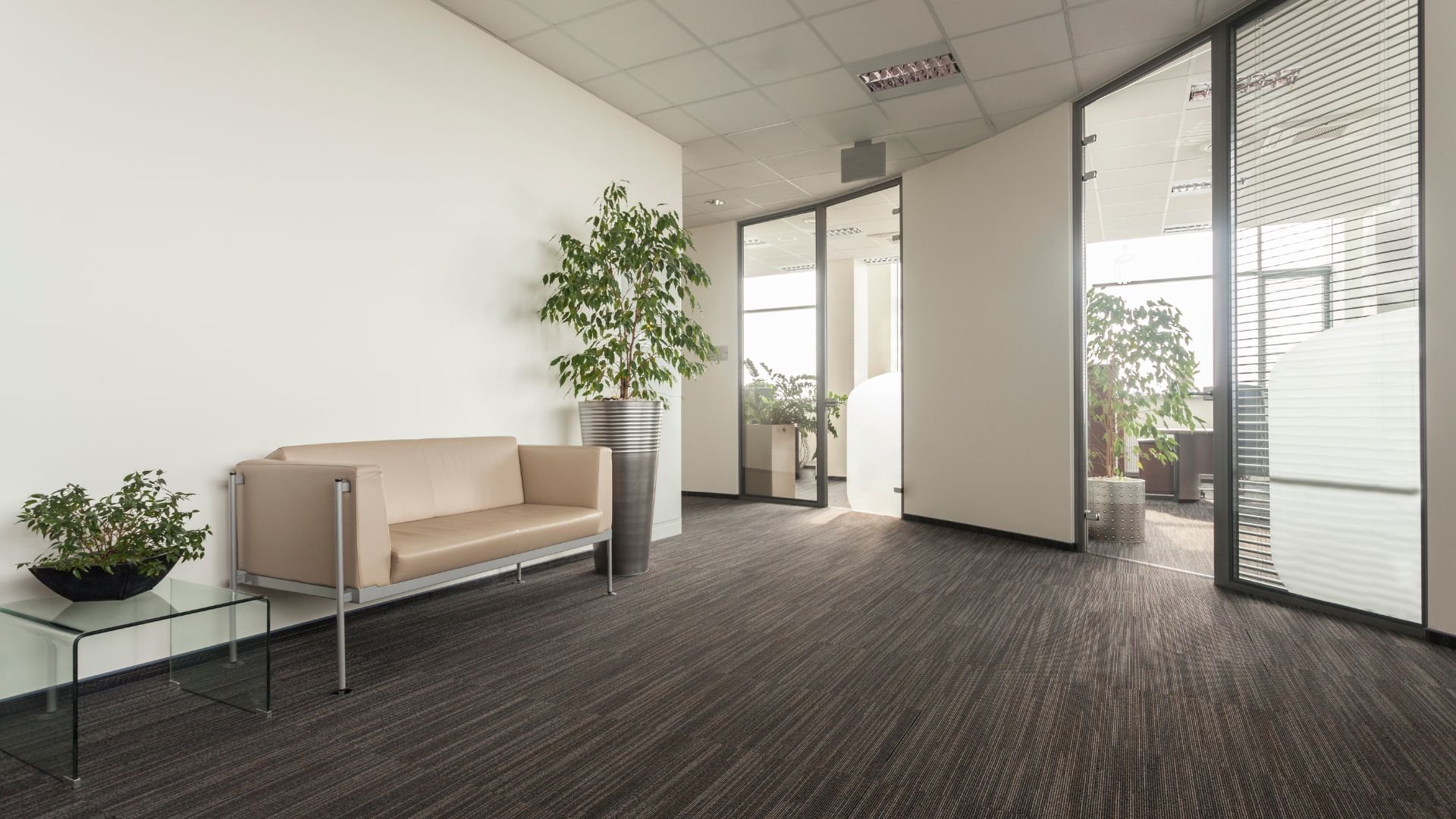 Modern office waiting area with beige couch, plants, and glass doors